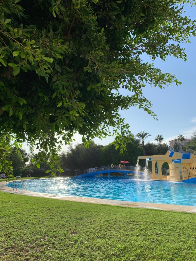 Apartament Minerva *