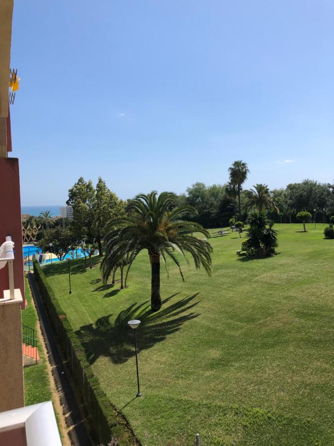 Minerva * Benalmádena